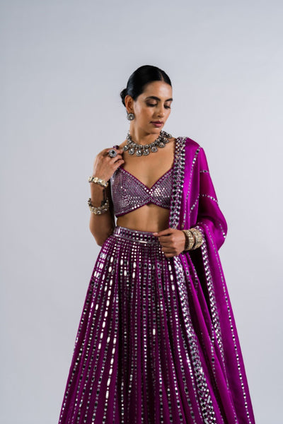 V Vani Vats Pop Wine Linear Drop Lehenga With Metallic Blouse Indian designer wear online shopping melange singapore