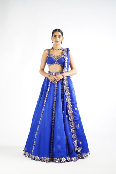 V Vani Vats Royal Blue Flower Linear Lehenga Set indian designer wear online shopping melange singapore