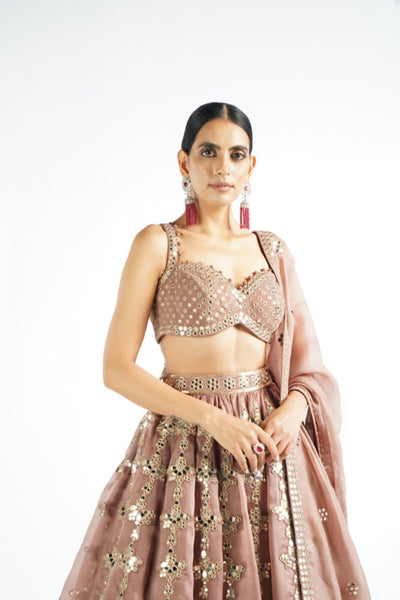 V Vani Vats Deep Beige Chandelier Drop Lehenga Set Indian designer wear online shopping melange singapore