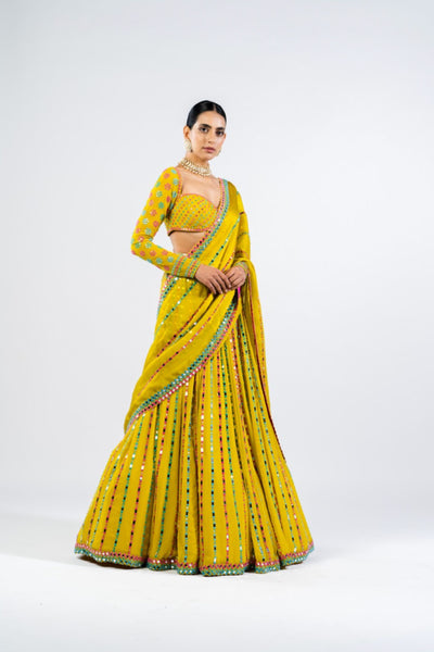 V Vani Vats Moss Green Linear Drop Lehenga Set Indian designer wear online shopping melange singapore