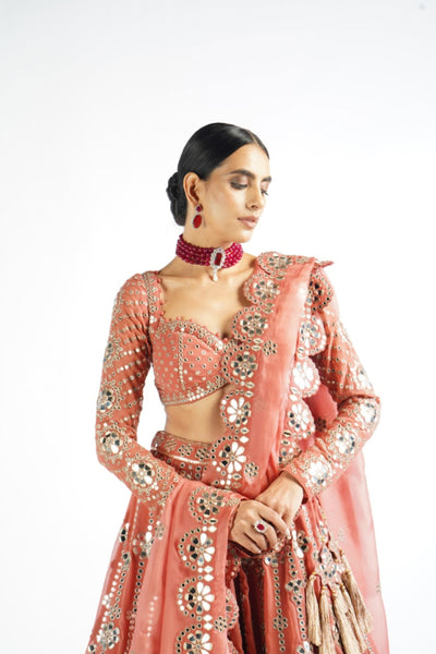 V Vani Vats Mellow Rose Big Flower Linear Lehenga Set Indian designer wear online shopping melange singapore