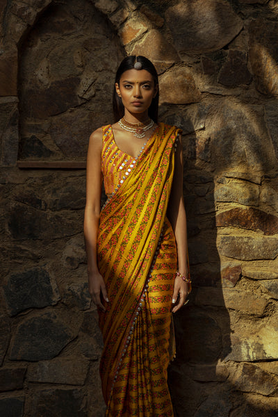 Coin Border Saree With Embroidered Blouse